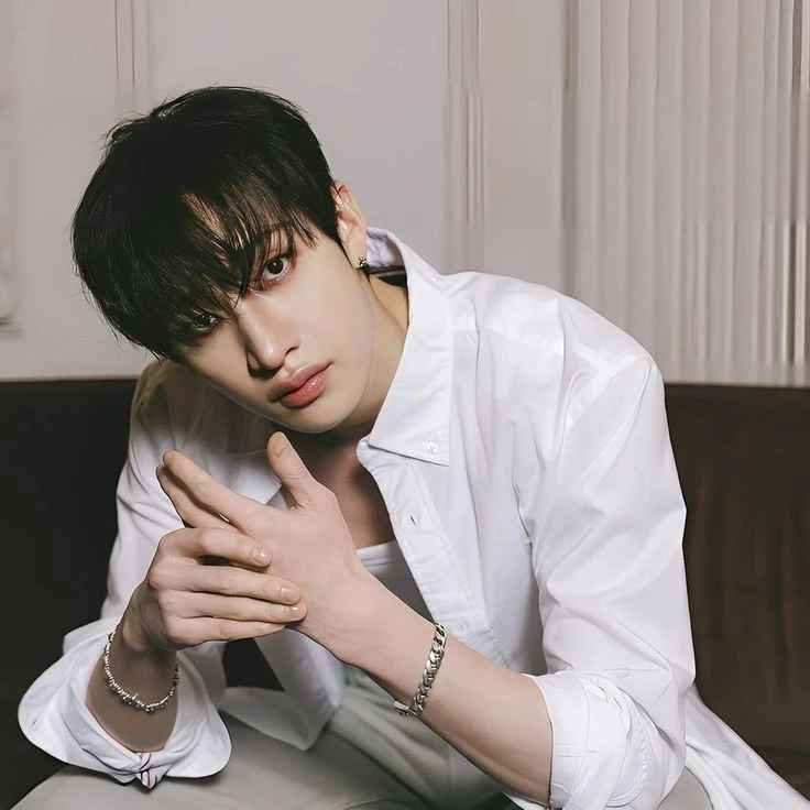 ☽ Bang Chan