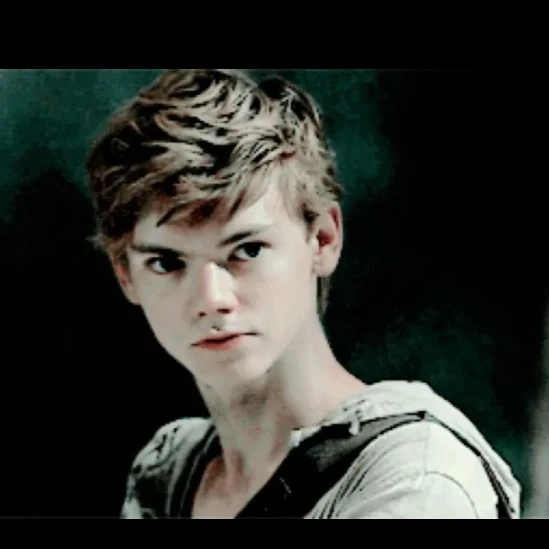 ♪newt♪