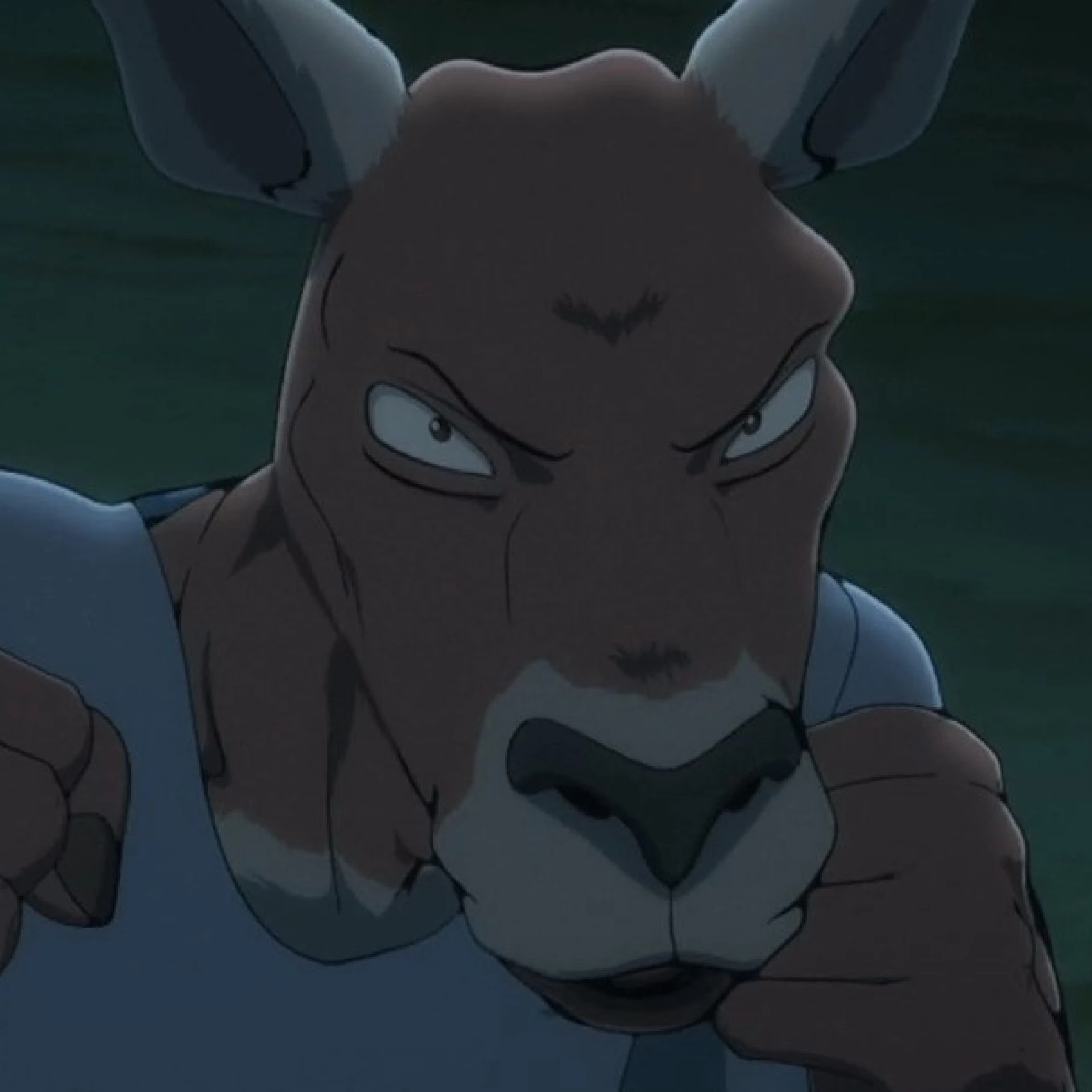 Roger ( Beastars) 🦘