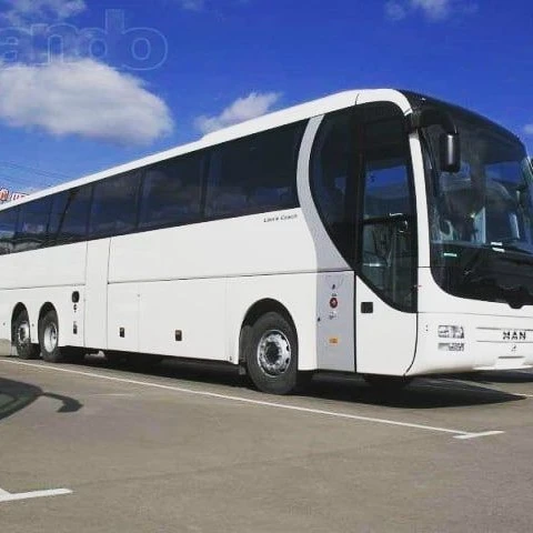 bus