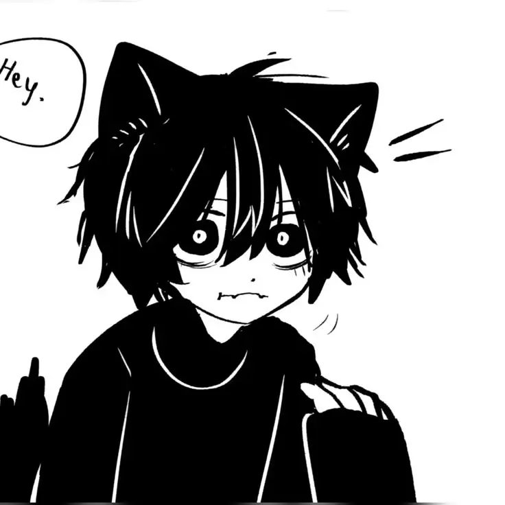 cat (magic 8 ball cat)