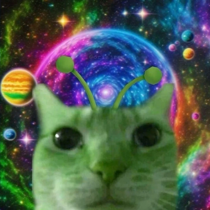 Alien cat