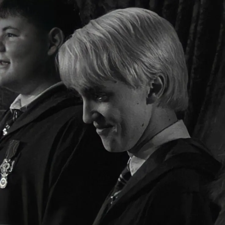 ⚝╹Draco Malfoy ⁶