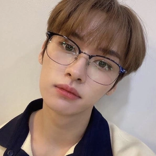 Nerd (Lee know)