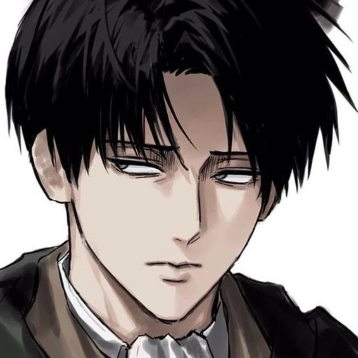 Levi Ackerman ❤️🩹