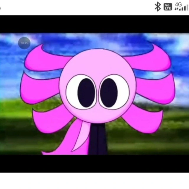Kinito Pet