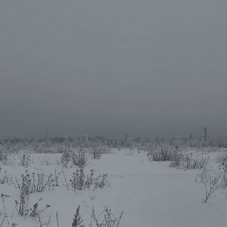 endless winter