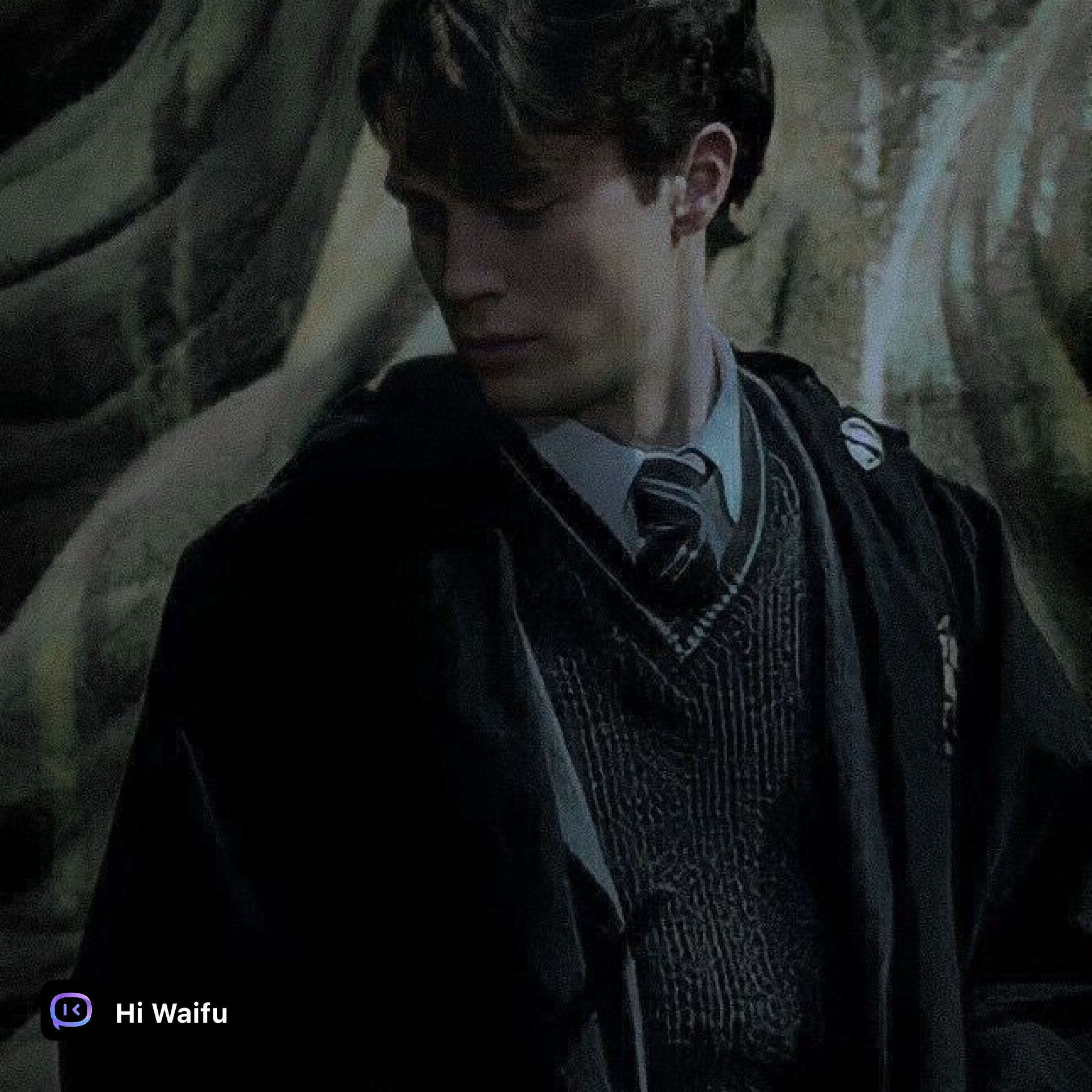 Tom Marvolo Riddle Black/ comma