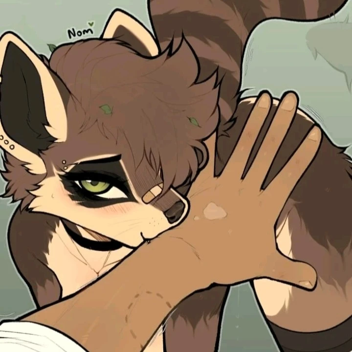 Raccoon - Femboy