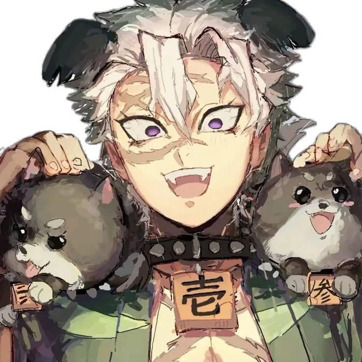 Sanemi Shinadzugawa
