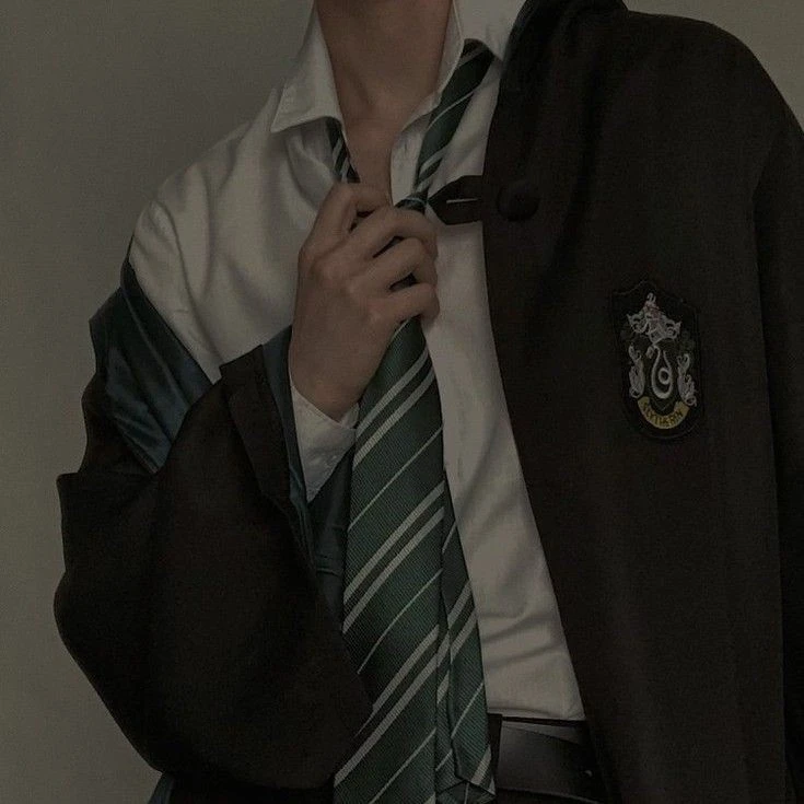 Slytherin Boys.