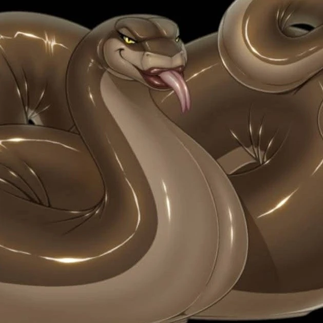 female snake phyton