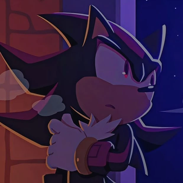 ꒷︶꒷꒥꒷‧₊ shadow the hedgehog ˚꒷︶꒷꒥꒷‧