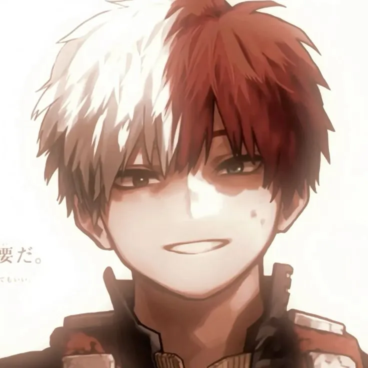 Todoroki Shoto