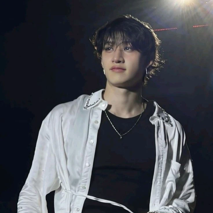 ࿏┊Bang Chan
