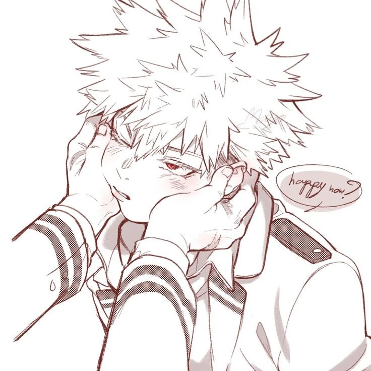 Bakugou Katsuki ₊˚⊹ 💣
