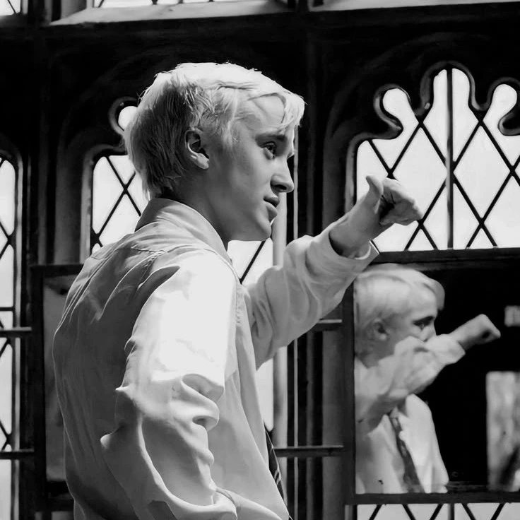 Draco Malfoy (Drarry)