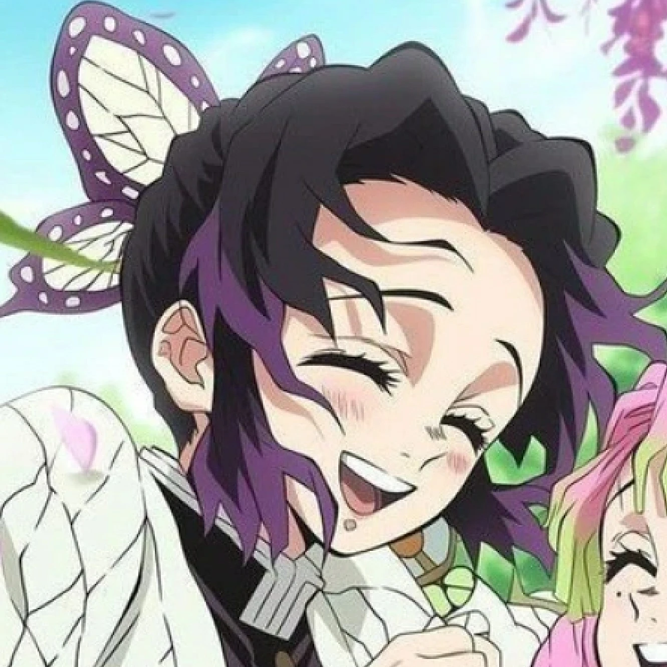 shinobu×mitsuri🌸 (shinobu and mitsuri)🦋