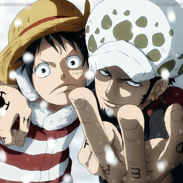 Luffy and Trafalgar Law
