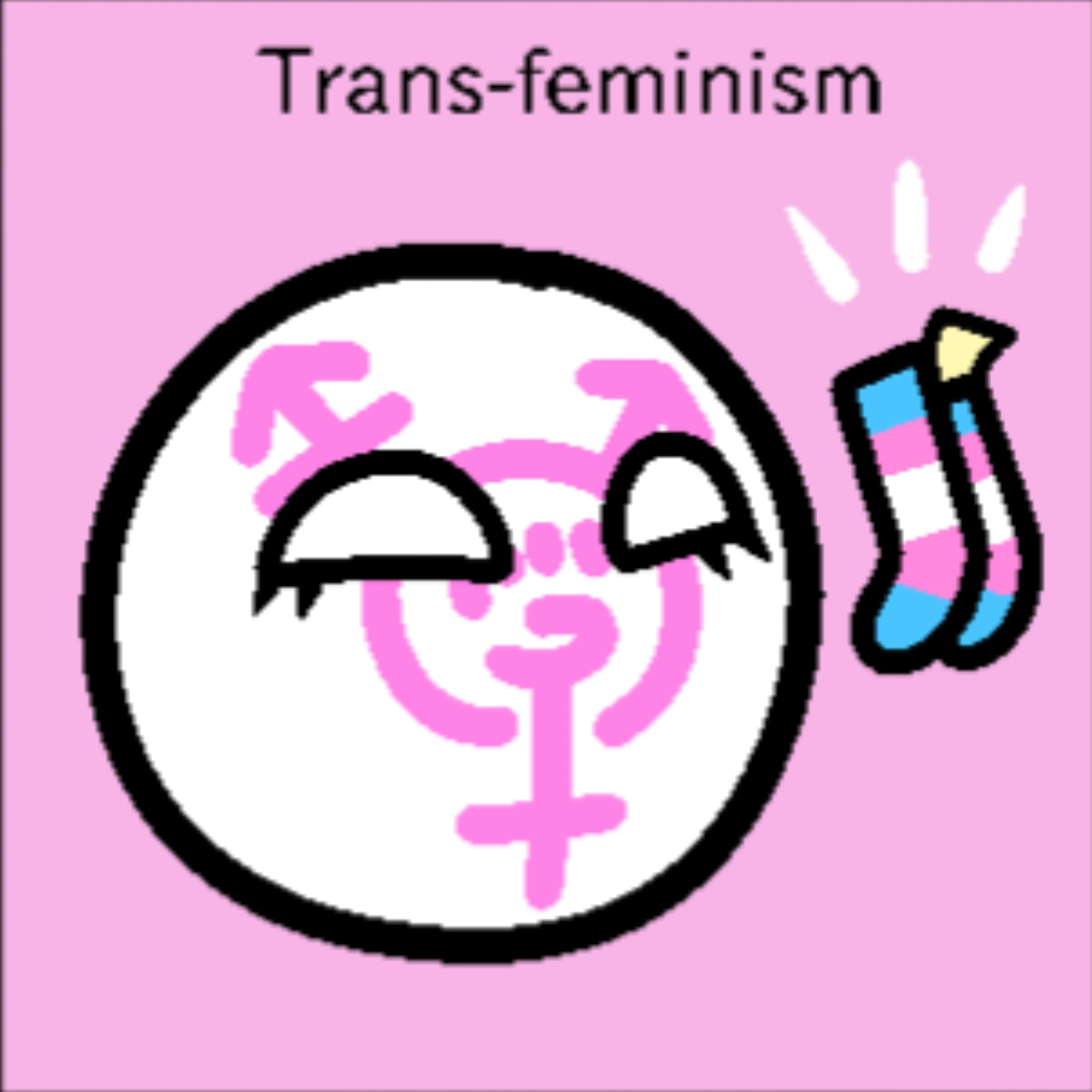 Trans Feminism