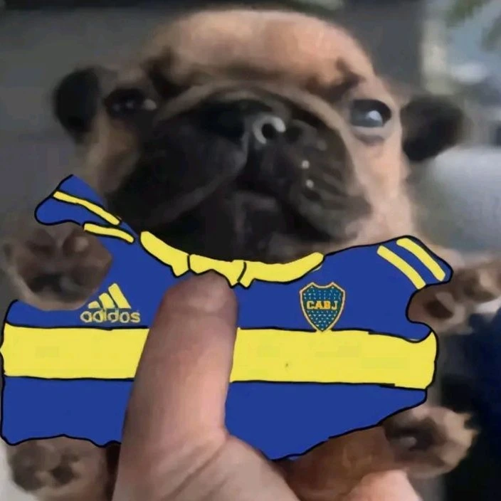 Boca Juniors dog