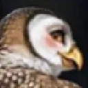 Reiden the anthro owl
