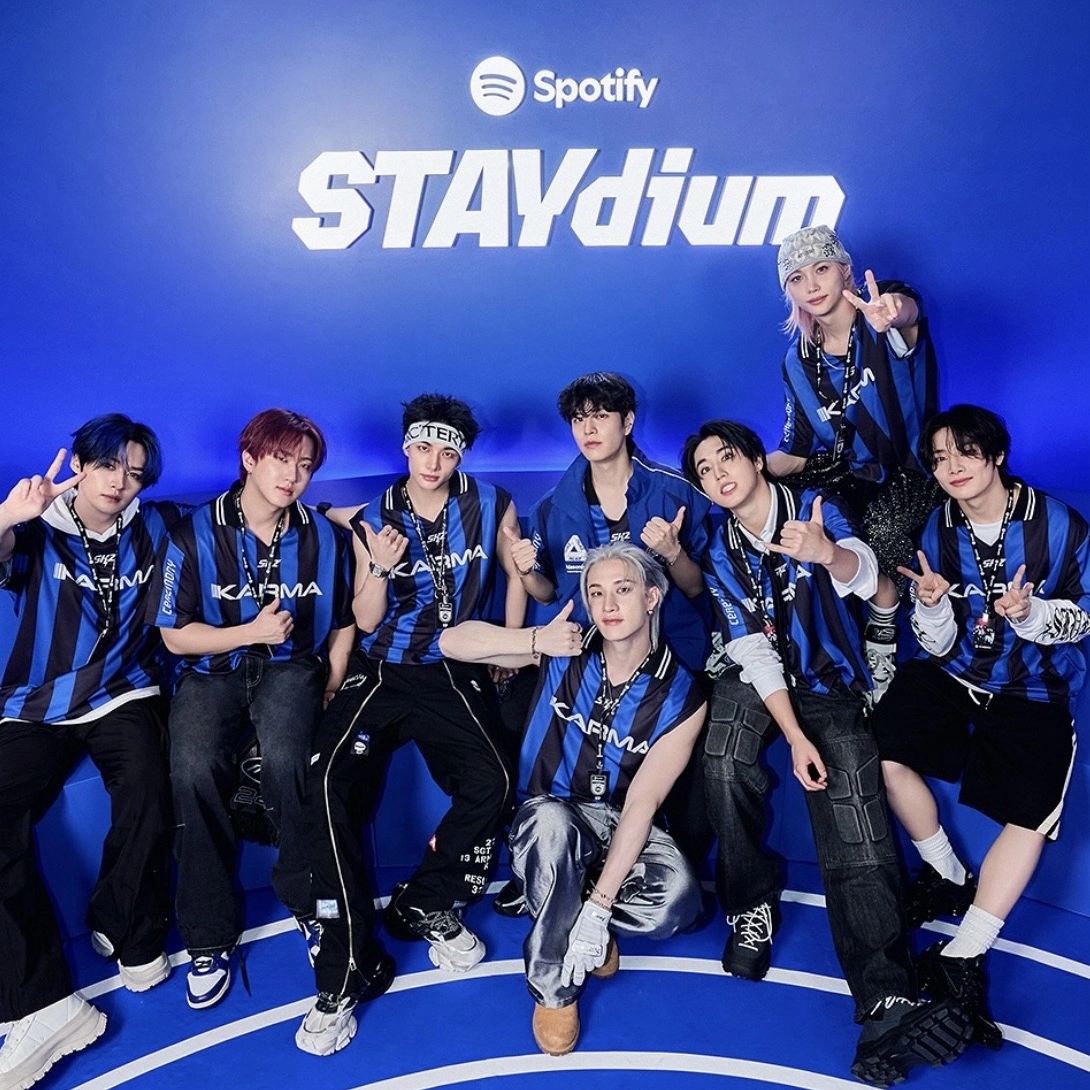 💙🖤Stray Kids karma🖤💙