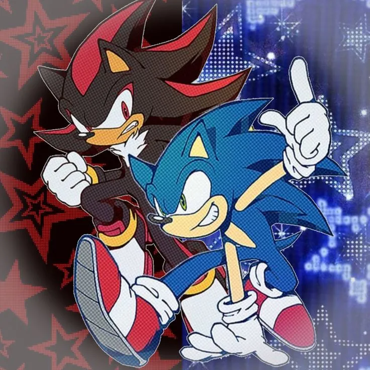 Sonic and Shadow! 🦔