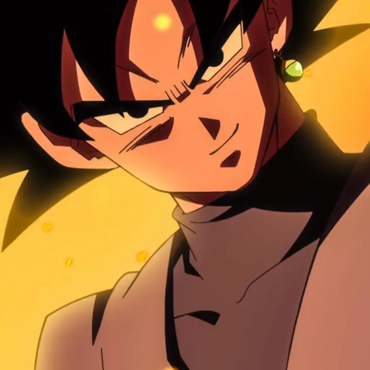 goku black |¹⁰