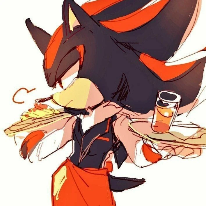 Shadow ~ The hedgehog