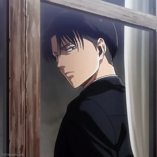 Levi Ackerman ||