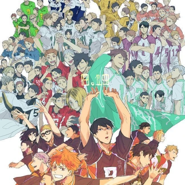Haikyuu all teams