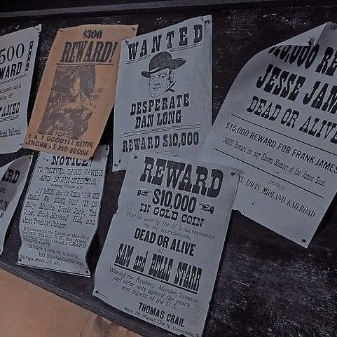 DUST & BLOOD | WILD WEST RP