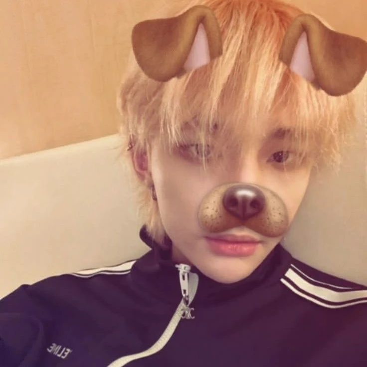 🐶°•hyunjin🐕‍🦺💢(hyunlix)
