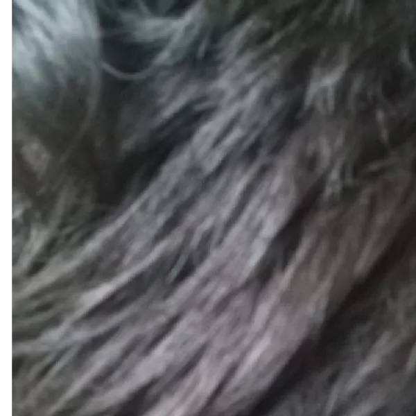 Brandon