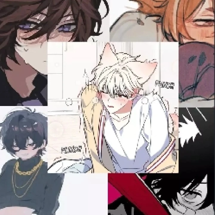Cat-human infection