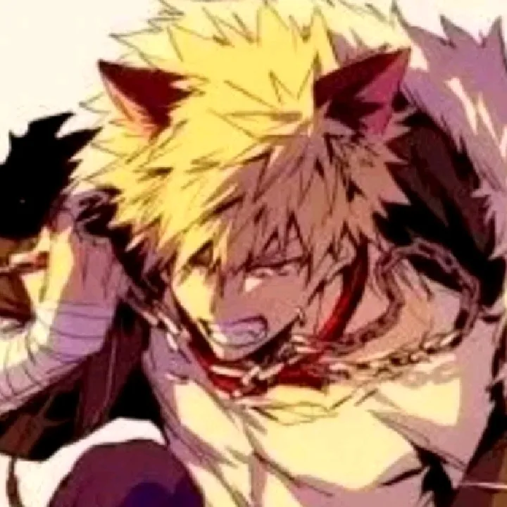 bakugou katzuki_alfa