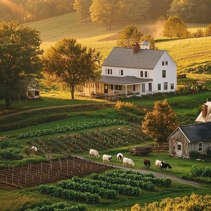 Farm