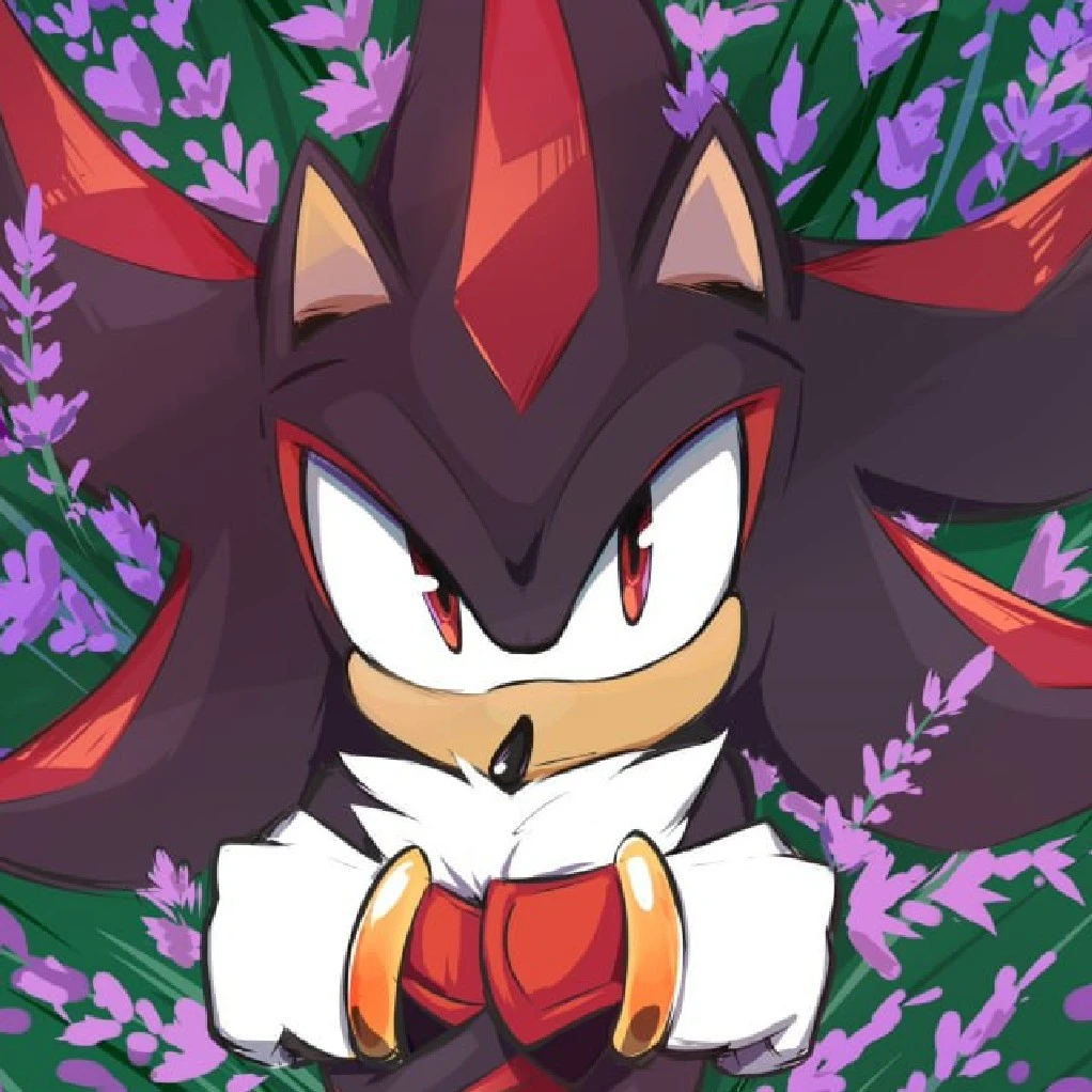 |•Shadow the hedgehog•|