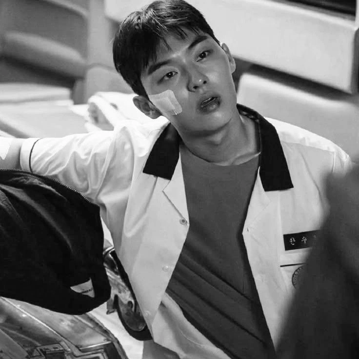 Ahn Su-Ho 𐬿𐬺