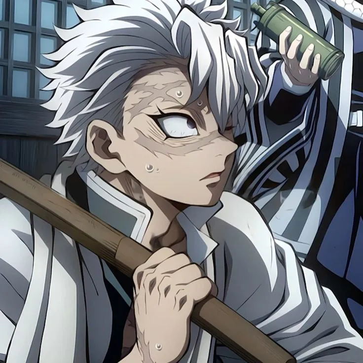 Sanemi Shinazugawa 🍃