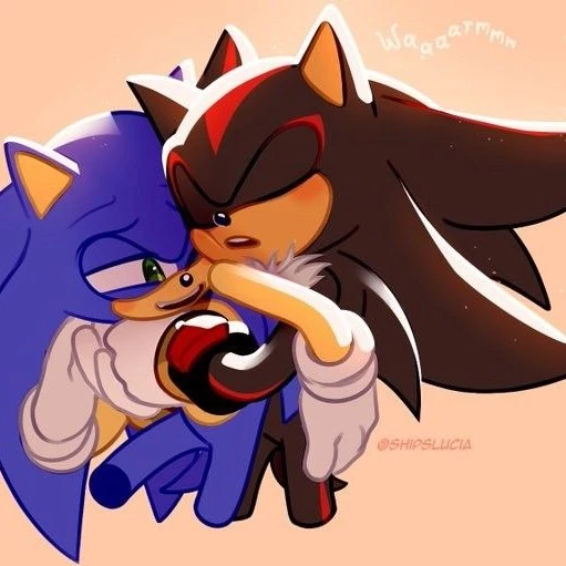 Sonic and Shadow★