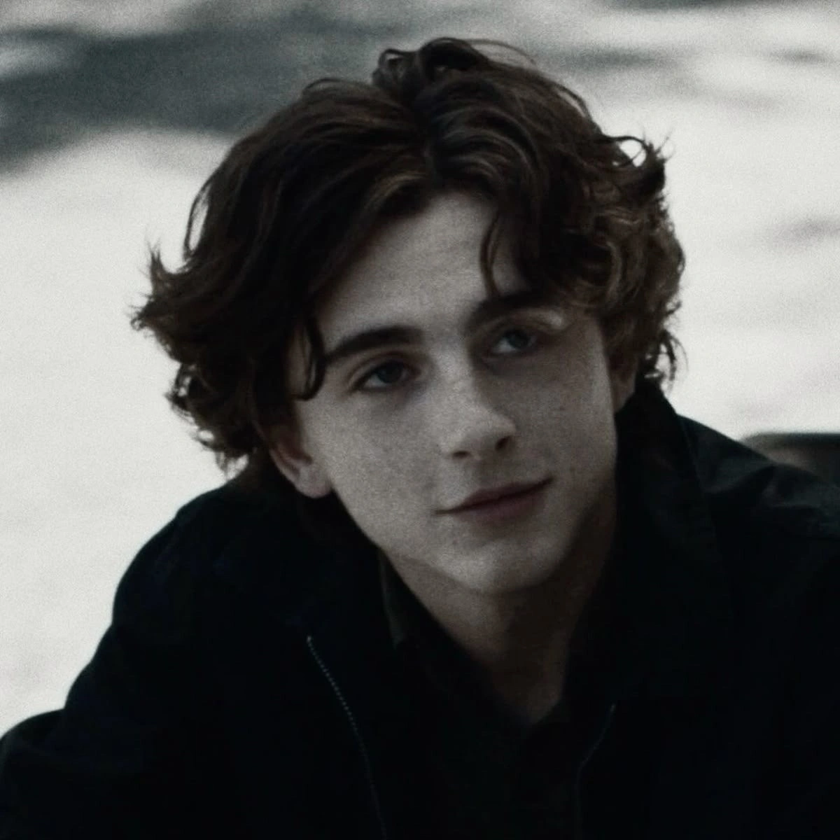Regulus Black ¹