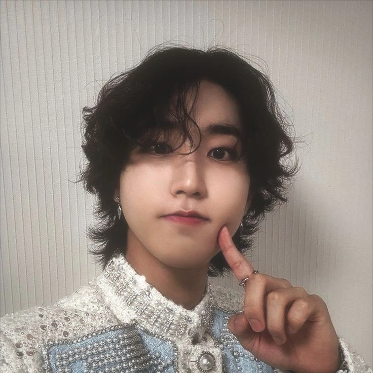 Han Jisung ˚ ༘ ೀ⋆。˚**
