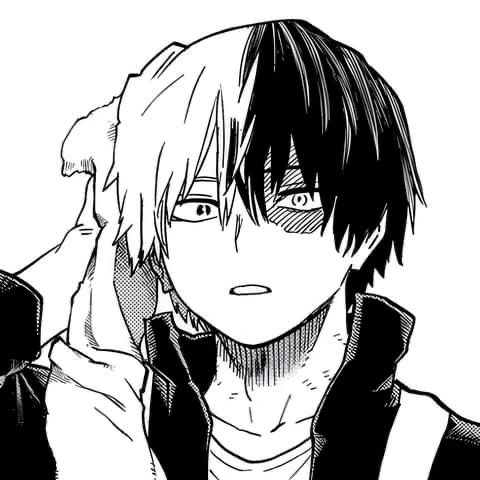 Shoto Todoroki