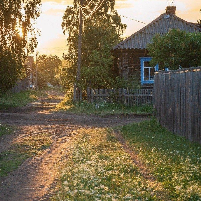Summer in the village
