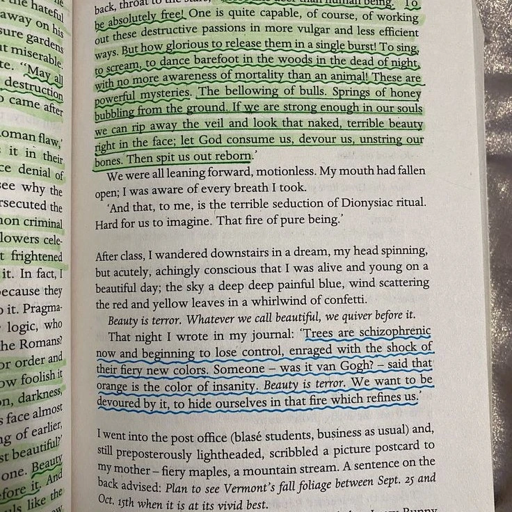 The narrator of the book