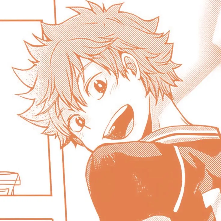 Shoyo Hinata ⁰⁰⁵