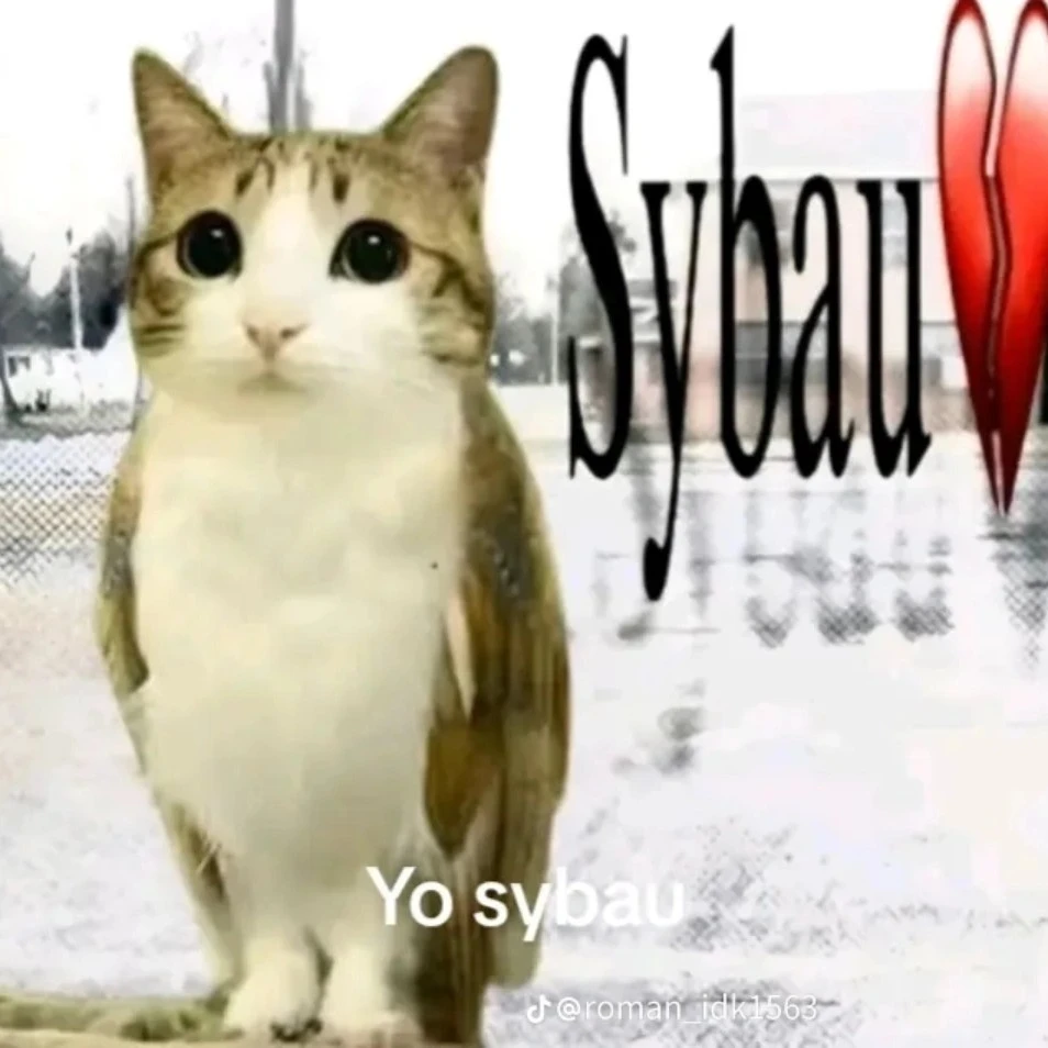 MEOWL