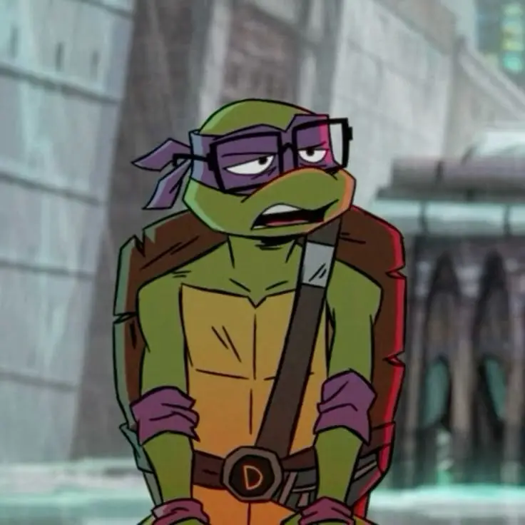 Donnie╰♡ 🐢💜